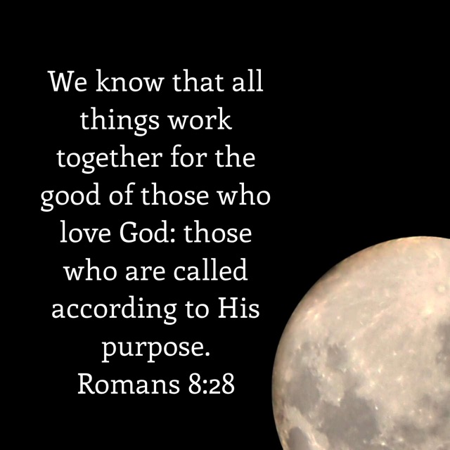 Romans 8:28
